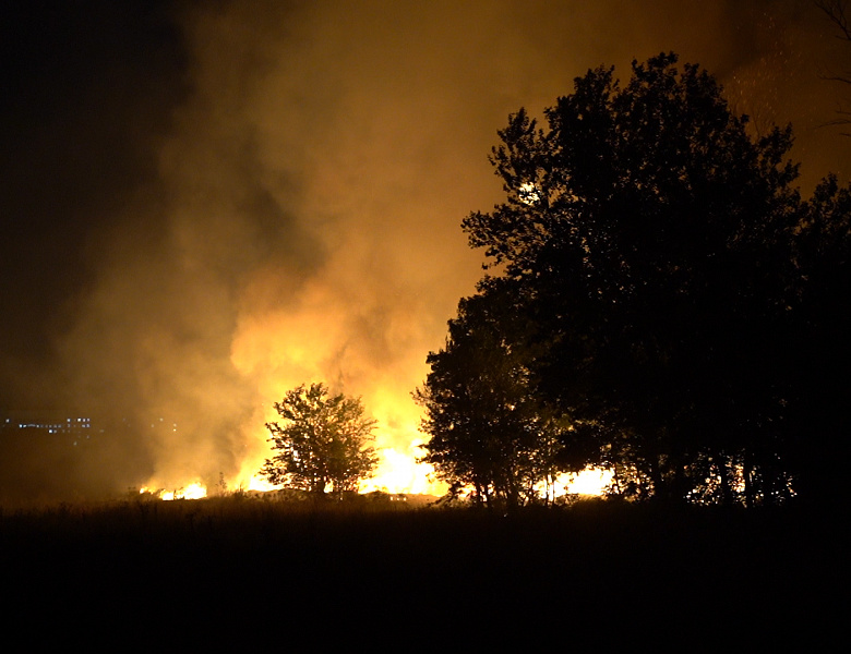 Пожар в Эльтавском лесу потушен