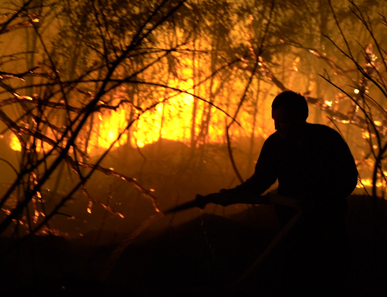Пожар в Эльтавском лесу потушен
